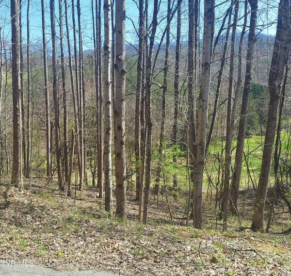 Unicoi, TN 37692,Lot 181 Ox Bow Rd