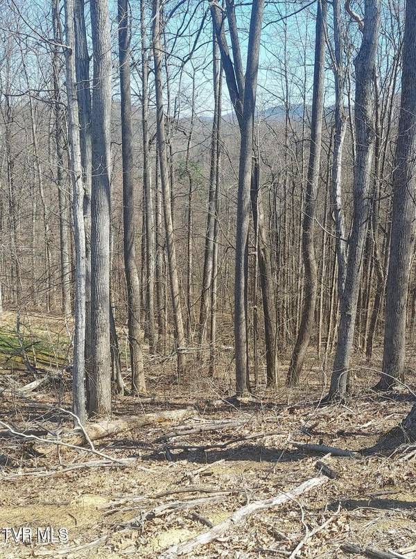 Lot 76 Golf Course Road, Unicoi, TN 37692