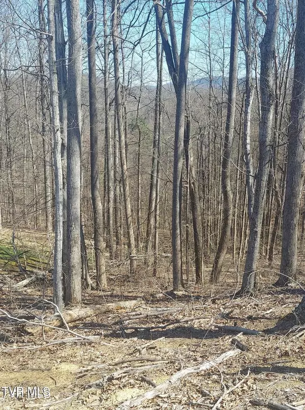 Unicoi, TN 37692,Lot 76 Golf Course Road