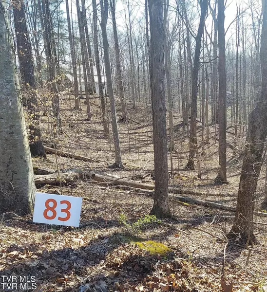 Lot 83 Golf Course Road, Unicoi, TN 37692