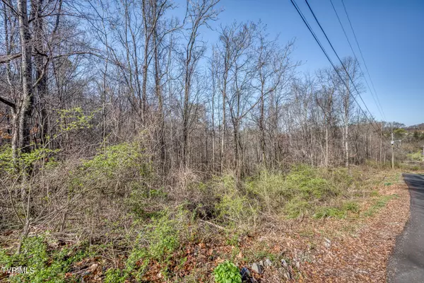Elizabethton, TN 37643,Tbd Cannon Hill DR