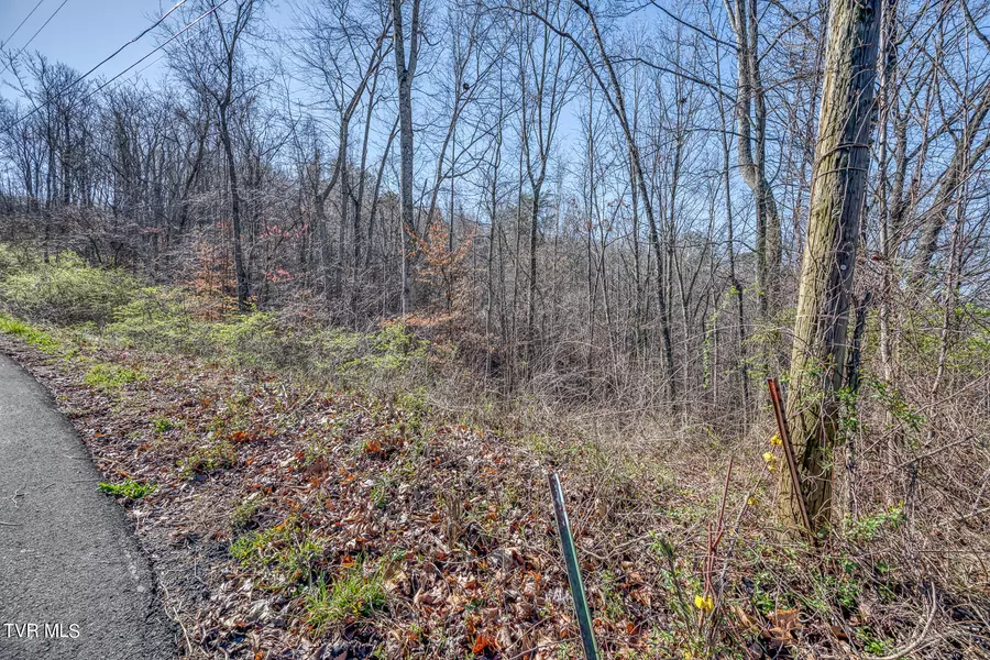 Tbd Cannon Hill DR, Elizabethton, TN 37643