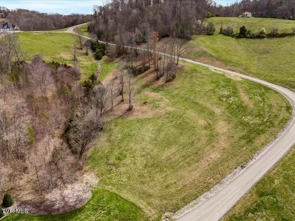 New Tazewell, TN 37825,Lot 2 Smokey Quartz BLVD