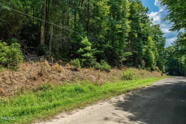 Butler, TN 37640,Lot 4 Valley View DR