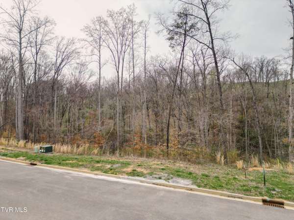 Lot 30 Bridgewater BLVD, Morristown, TN 37814