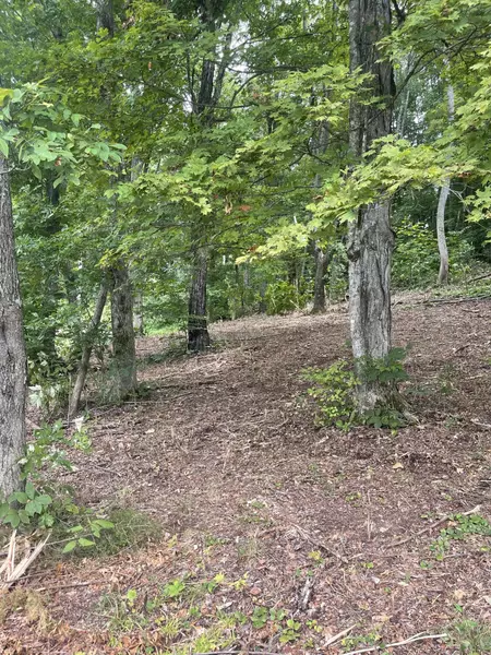 Lot 35 Chimney Top LN, Chuckey, TN 37641