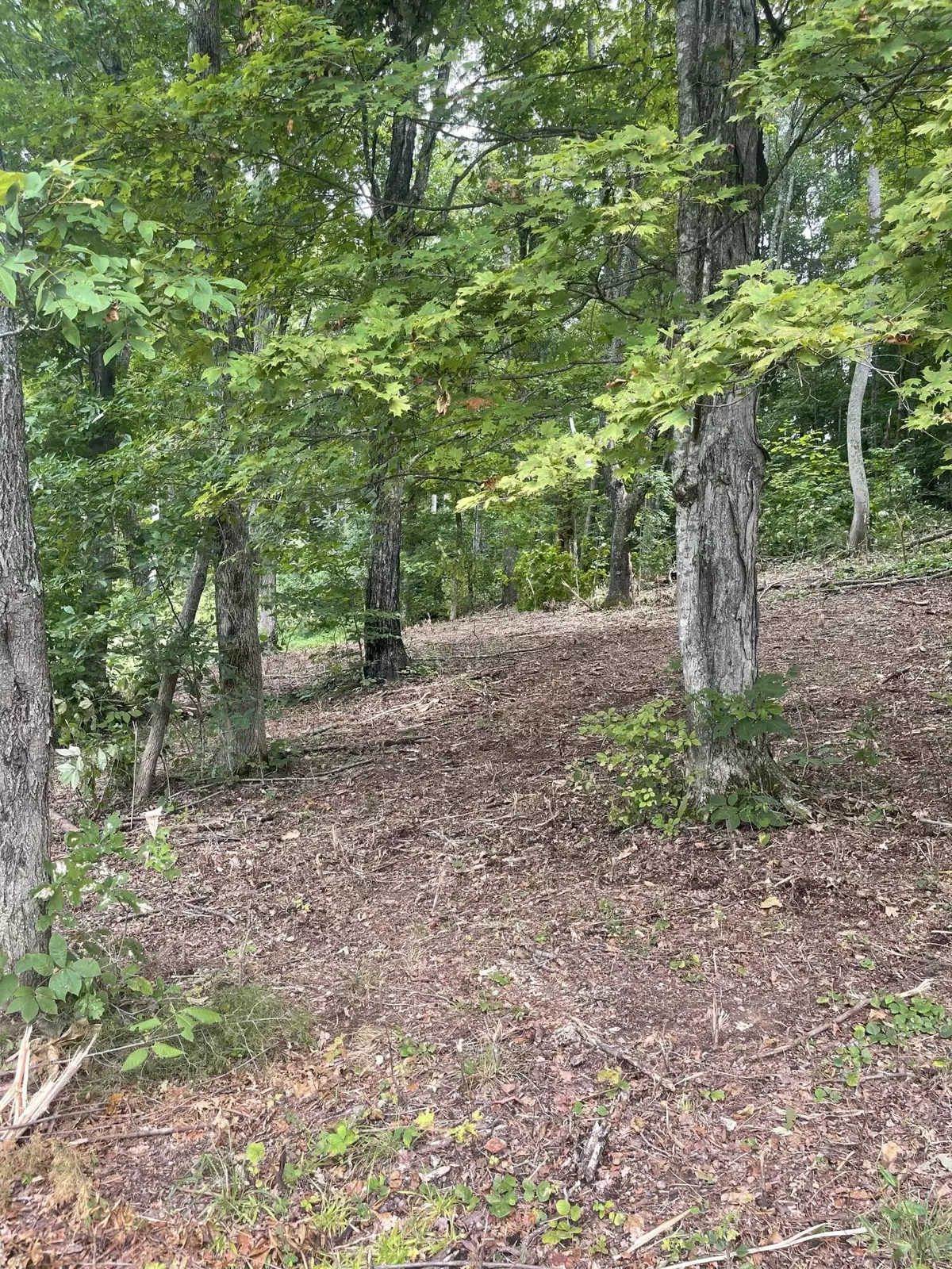 Chuckey, TN 37641,Lot 35 Chimney Top LN