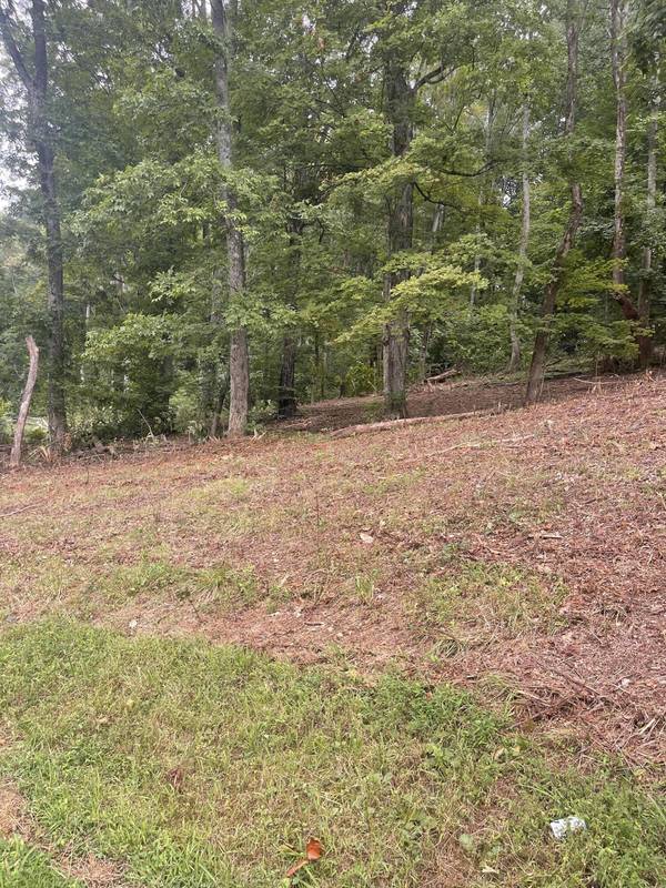 Chuckey, TN 37641,Lot 35 Chimney Top LN