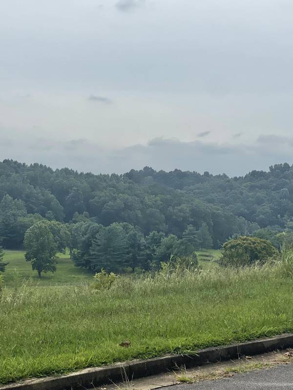 Chuckey, TN 37641,Lot 43 Chimney Top LN