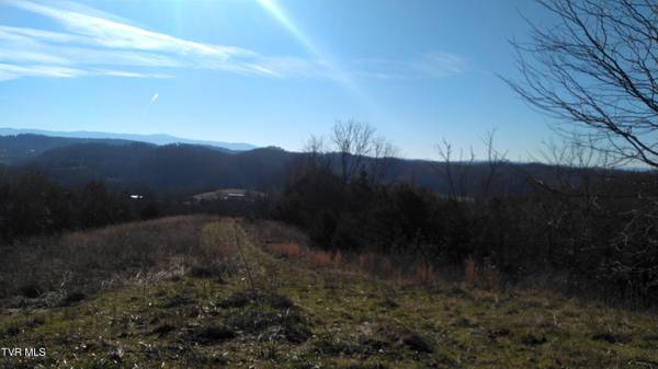 Greeneville, TN 37745,0000 Roaring Fork RD