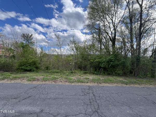 Tbd Jennings Drive, Kingsport, TN 37660