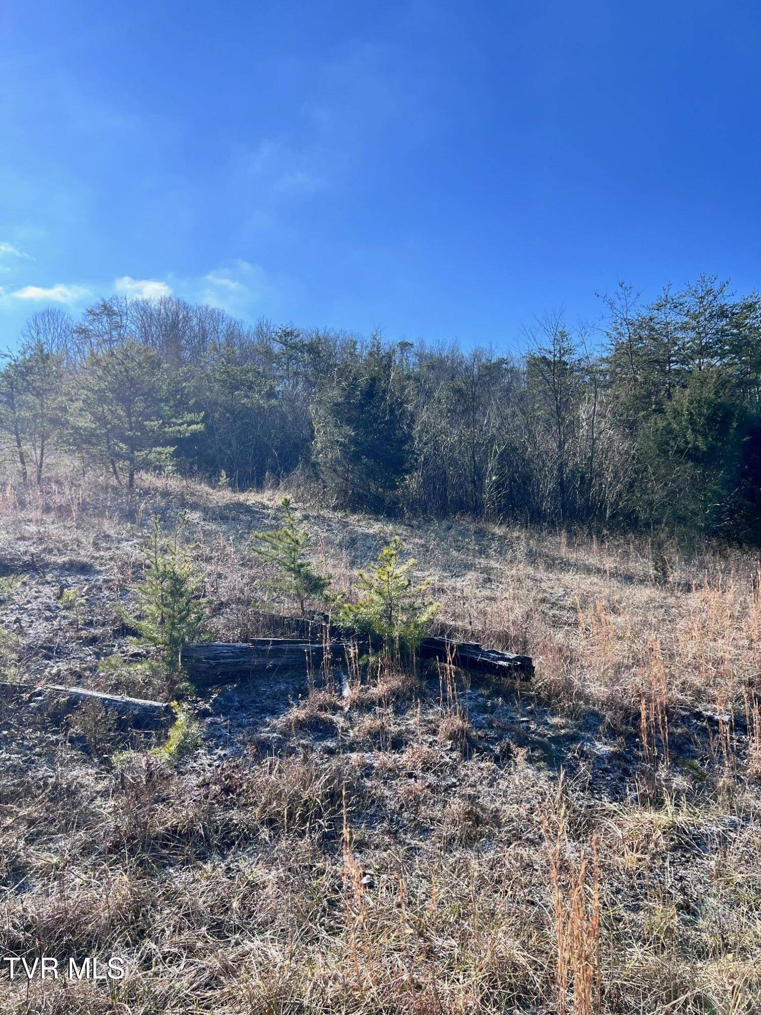 Tazewell, TN 37879,Tract 2 Bundren Mountain RD