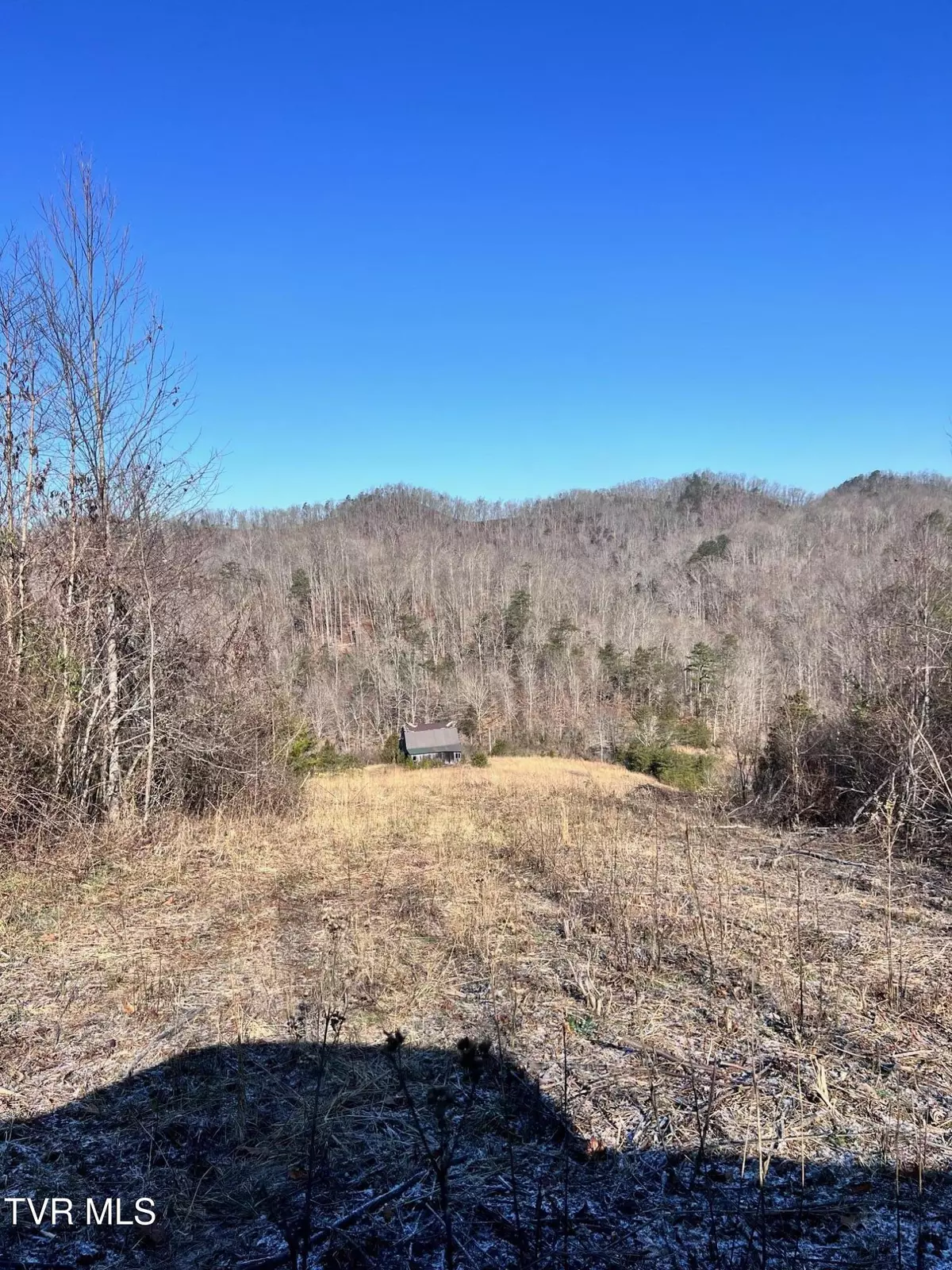 Tazewell, TN 37879,Tract 2 Bundren Mountain RD