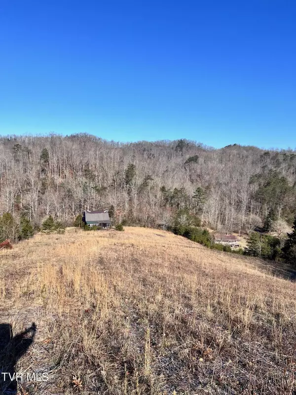 Tazewell, TN 37879,Tract 2 Bundren Mountain RD