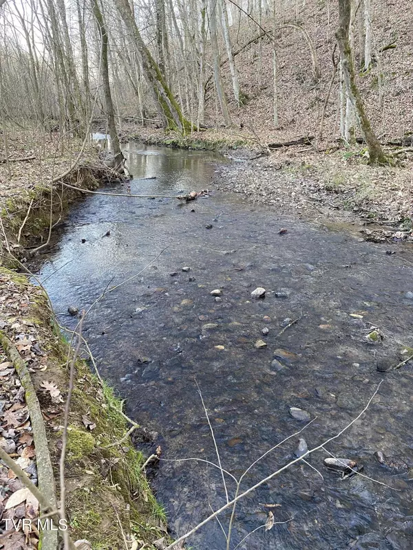 Surgoinsville, TN 37873,00 Williams  (42 Acres)