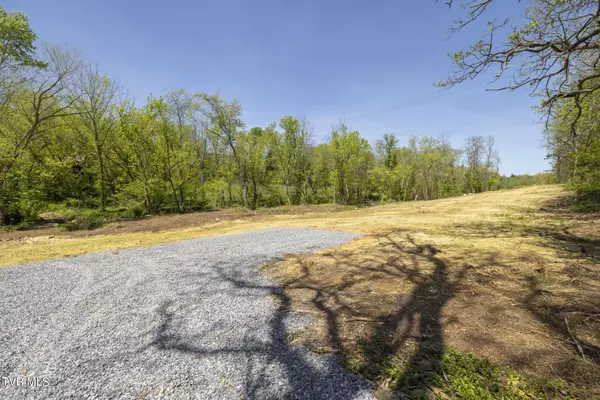 Greeneville, TN 37743,Lot 5 Mckee ST