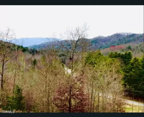 48 Homestead DR, Unicoi, TN 37692