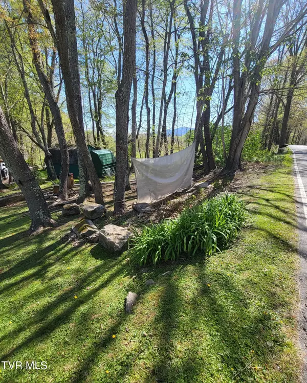 104 Black Bear PATH ##1, Roan Mountain, TN 37687
