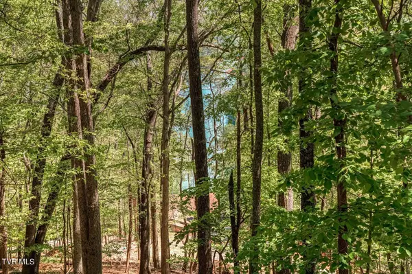 Mooresburg, TN 37811,1184 Keetoowah DR