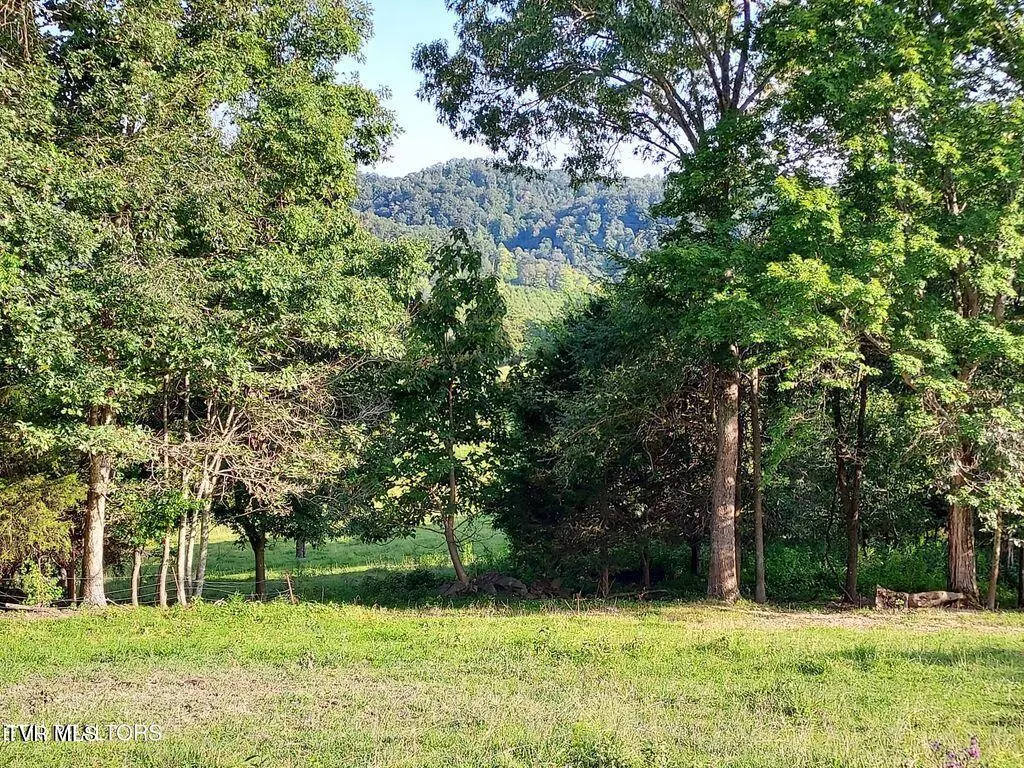 Sneedville, TN 37869,Tbd Trents Chapel Lot 3 RD