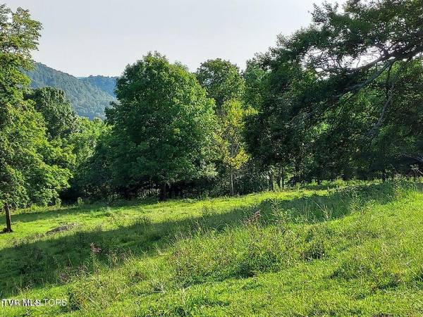 Sneedville, TN 37869,Tbd Trents Chapel Lot 3 RD