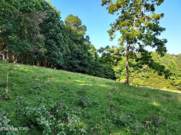 Sneedville, TN 37869,Tbd Trents Chapel Lot 3 RD