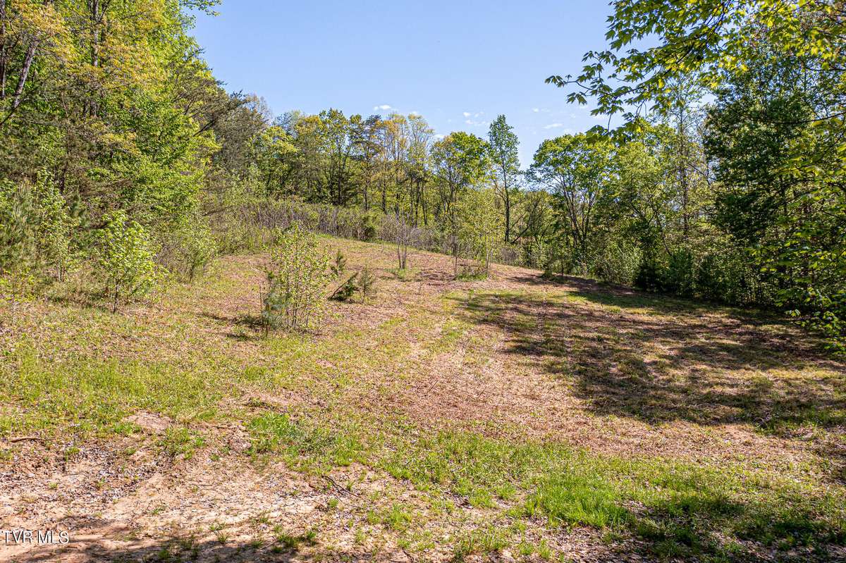 Bulls Gap, TN 37711,Tbd Seay Hollow RD