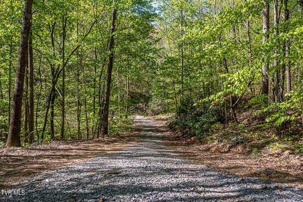 Bulls Gap, TN 37711,Tbd Seay Hollow RD