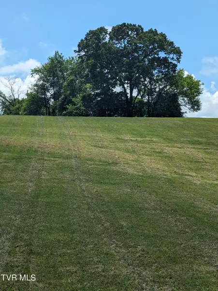 Lot 30 Burem RD, Rogersville, TN 37857