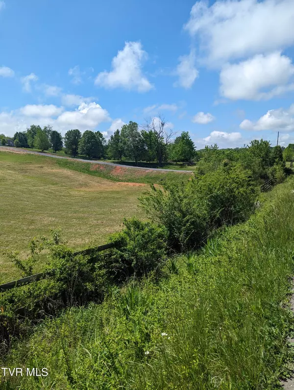 Rogersville, TN 37857,Lot 30 Burem RD