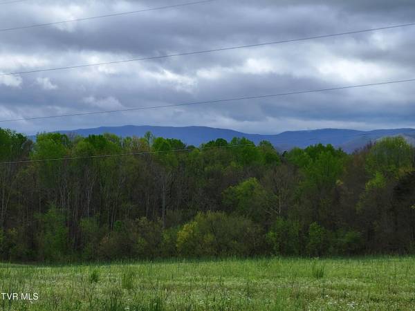 Limestone, TN 37681,Lot 1 Gravel Hill RD