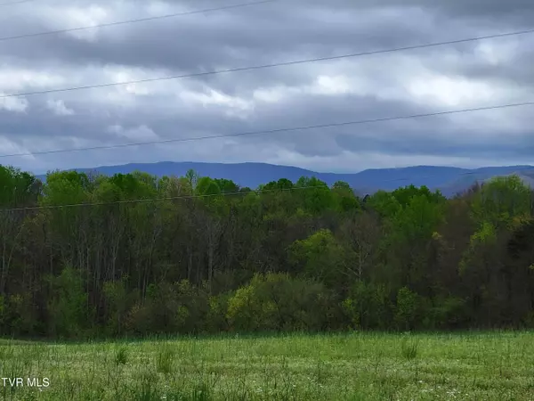 Limestone, TN 37681,Lot-3 Bailey Bridge RD
