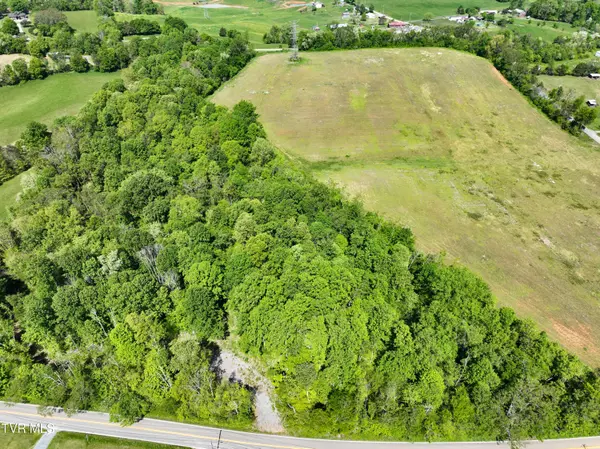 Limestone, TN 37681,Lot-3 Bailey Bridge RD