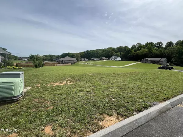 Jonesborough, TN 37659,Lot #47 Brady WAY