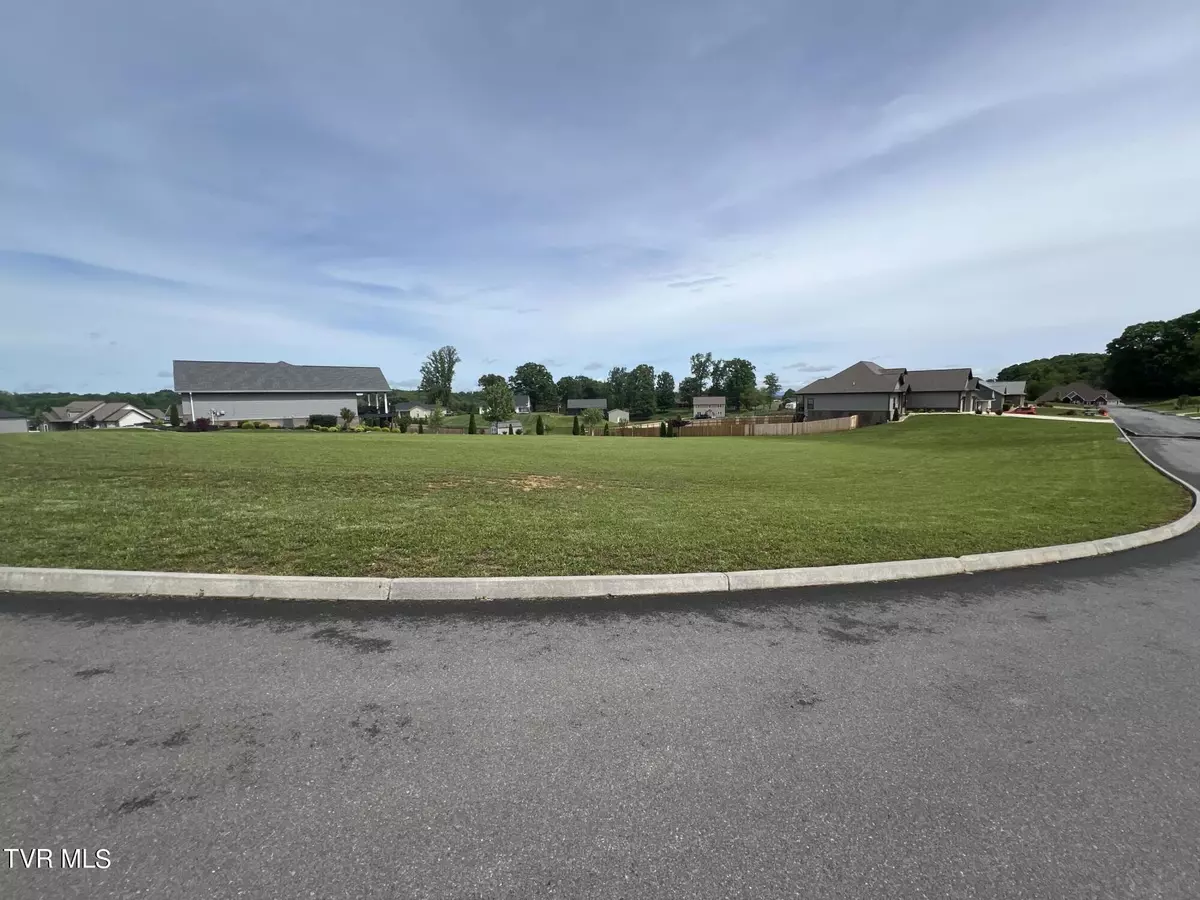 Jonesborough, TN 37659,Lot #47 Brady WAY