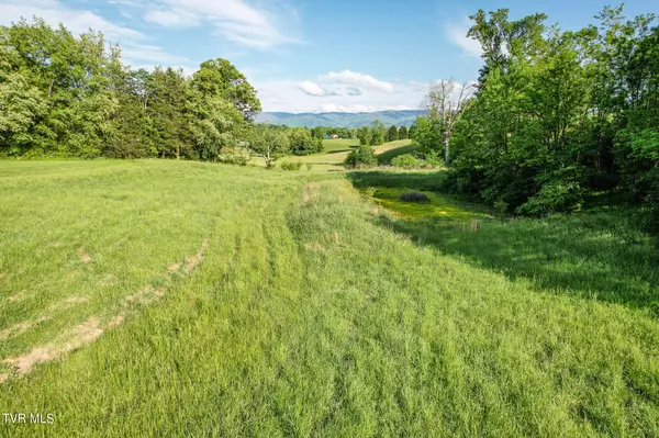 Greeneville, TN 37743,6ac Mt Hebron RD