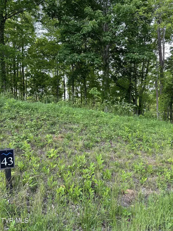 Butler, TN 37640,000 Lot #43 - Watauga Ridge RD