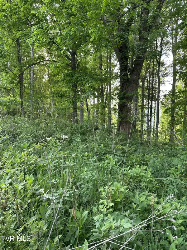 Butler, TN 37640,000 Lot #43 - Watauga Ridge RD