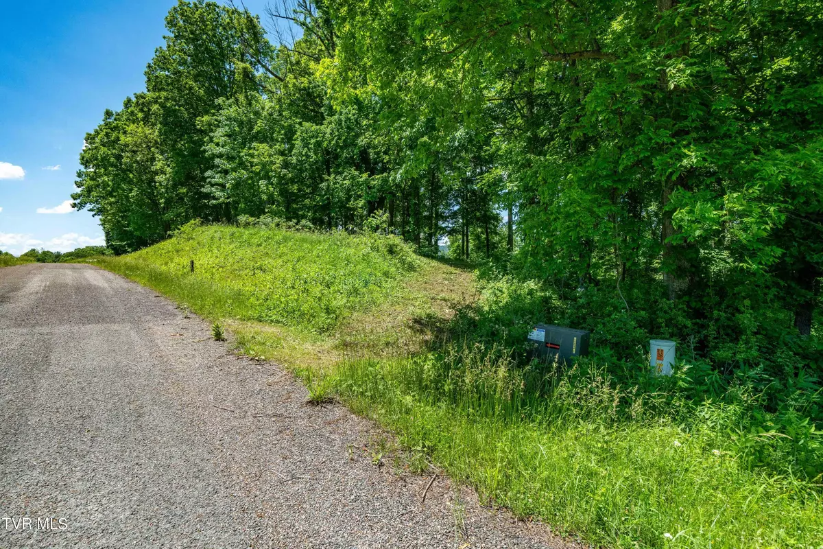 Butler, TN 37640,000 Lot #43 - Watauga Ridge RD