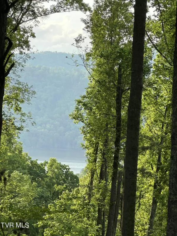 Butler, TN 37640,000 Lot #43 - Watauga Ridge RD