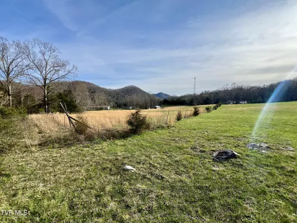 Mooresburg, TN 37811,0 Lovin RD