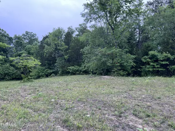 Bulls Gap, TN 37711,Lot 2 Clemon RD