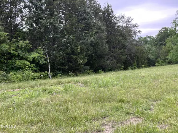 Bulls Gap, TN 37711,Lot 5 Clemon RD