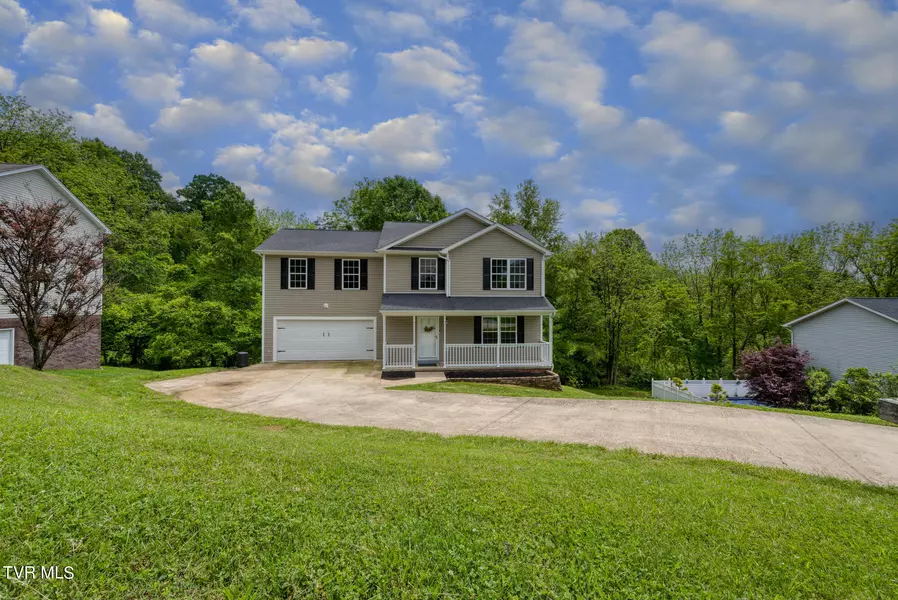 313 Henrys LN, Bristol, VA 24202