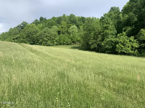Gate City, VA 24251,0 Bristol Hwy