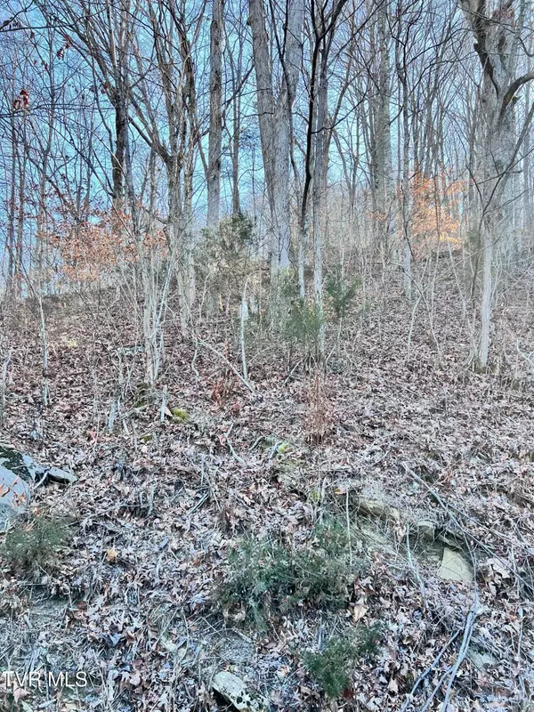 Tazewell, TN 37879,Tract 7 Bundren Mountain RD