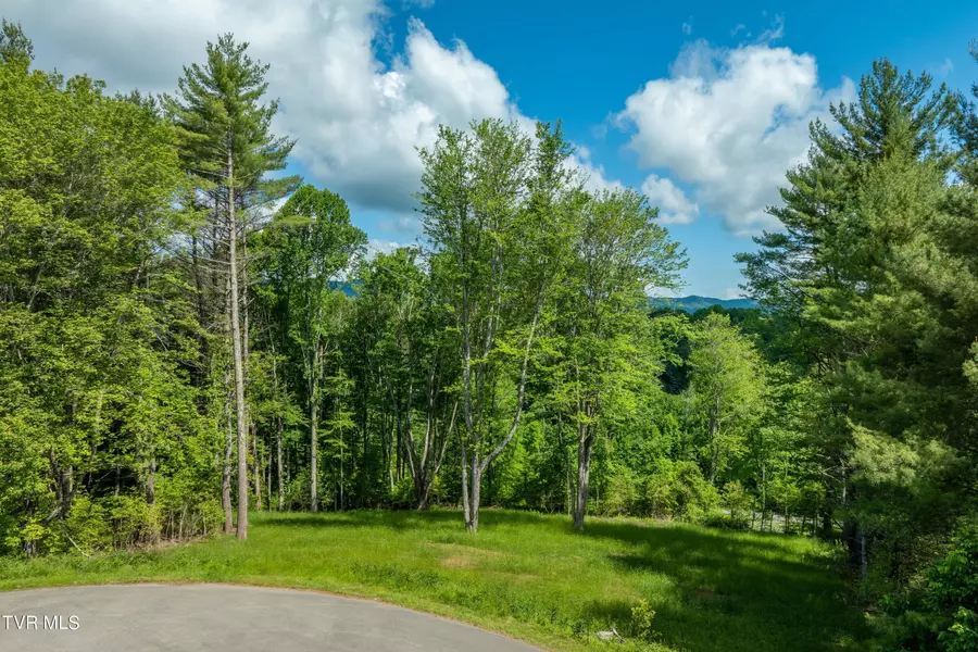 Lot #45 Laurel WAY, Mountain City, TN 37683