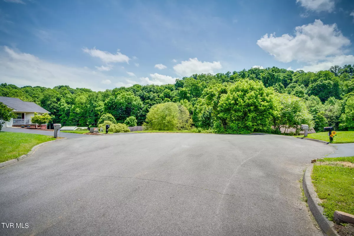 Unicoi, TN 37692,14.2 Acres Springdale LN