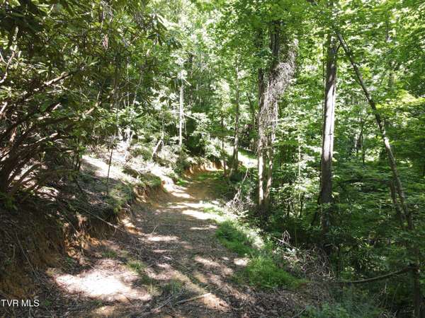 Johnson City, TN 37601,Tbd Whispering Pines Rd