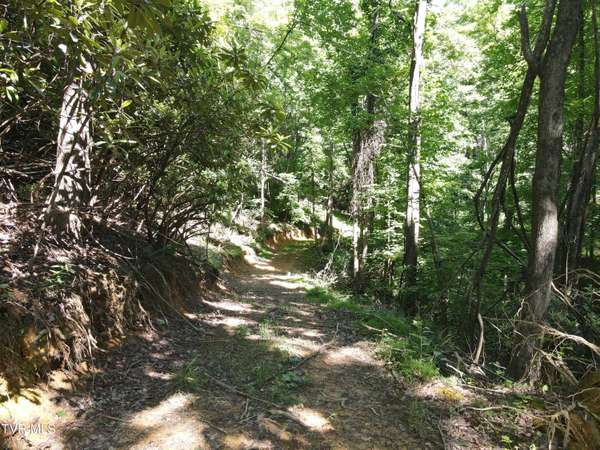 Johnson City, TN 37601,Tbd Whispering Pines Rd